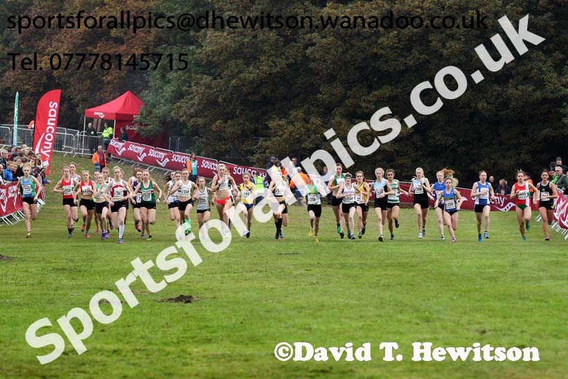 Junior women, National Cross Country Relays, Berry Park, Mansfield. Photo: David T. Hewitson/Sports for All Pics